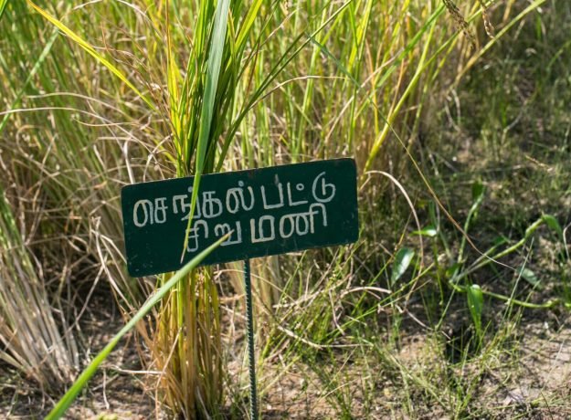 1.Chengalpattu Sirumani field -Jan 2023