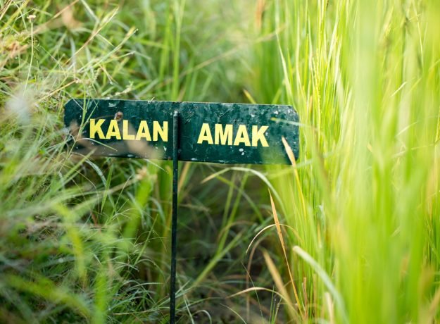 1.Kalanamak field-Nov 2016