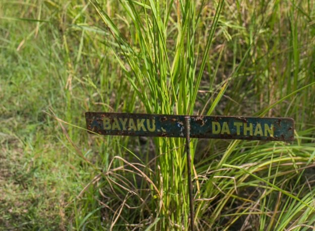 10.Bayakundathan field- Dec 2022