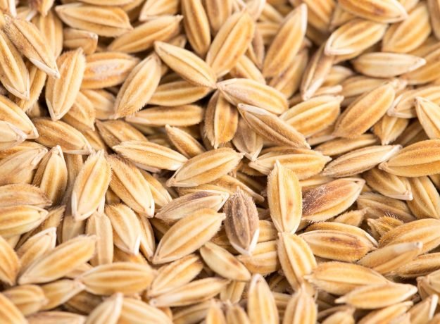 2.Kaivara samba grains-Nov 2016 (1)
