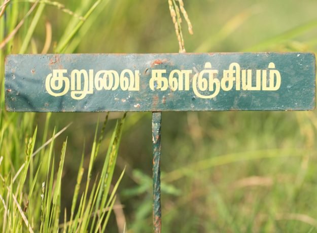 Kuruvaikalanjiyam