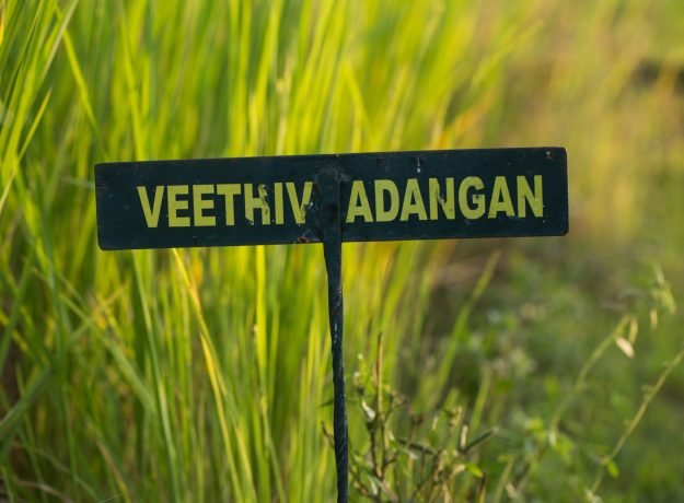 Veethivadangan