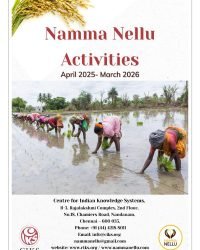 cover image_page-0001